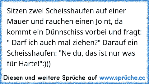 Sitzen zwei Scheisshaufen auf einer Mauer und rauchen einen Joint, da kommt ein Dünnschiss vorbei und fragt: " Darf ich auch mal ziehen?" Darauf ein Scheisshaufen: "Ne du, das ist nur was für Harte!"
:)))