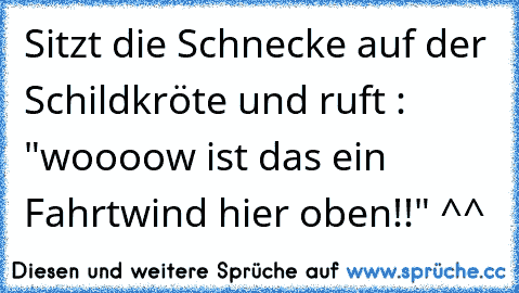 Sitzt die Schnecke auf der Schildkröte und ruft : "woooow ist das ein Fahrtwind hier oben!!" ^^