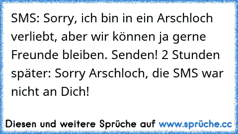 SMS: Sorry, ich bin in ein Arschloch verliebt, aber wir können ja gerne Freunde bleiben. Senden! 2 Stunden später: Sorry Arschloch, die SMS war nicht an Dich!