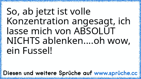 So, ab jetzt ist volle Konzentration angesagt, ich lasse mich von ABSOLUT NICHTS ablenken.
...oh wow, ein Fussel!