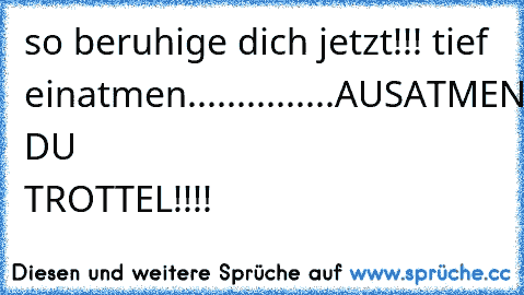 so beruhige dich jetzt!!! tief einatmen...............AUSATMENAUCH, DU TROTTEL!!!!