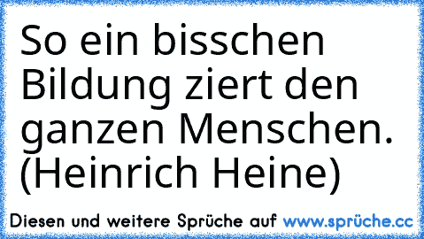 So ein bisschen Bildung ziert den ganzen Menschen. (Heinrich Heine)