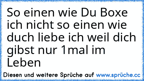 So einen wie Du Boxe ich nicht so einen wie duch liebe ich weil dich gibst nur 1mal im Leben