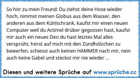 So hör zu mein Freund: Du ziehst deine Hose wieder hoch, nimmst meinen Globus aus dem Wasser, den anderen aus dem Kühlschrank, kaufst mir einen neuen Computer weil du Actimel drüber gegossen hast, kaufst mir auch ein neues Deo du hast letztes Mal alles versprüht, hörst auf mich mit den Zündhölzchen zu bewerfen, schiesst auch keinen HAMMER nach mir, nein auch keine Gabel und steckst mir nie wieder ...