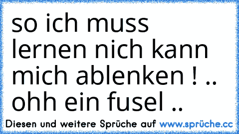 so ich muss lernen nich kann mich ablenken ! .. ohh ein fusel ..