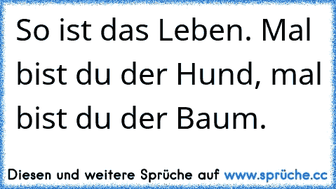 So ist das Leben. Mal bist du der Hund, mal bist du der Baum.