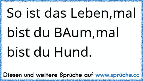 So ist das Leben,
mal bist du BAum,
mal bist du Hund.