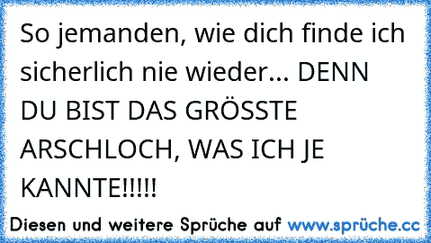 So jemanden, wie dich finde ich sicherlich nie wieder... 
DENN DU BIST DAS GRÖSSTE ARSCHLOCH, WAS ICH JE KANNTE!!!!!