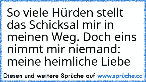 So viele Hürden stellt das Schicksal mir in meinen Weg. Doch eins nimmt mir niemand: meine heimliche Liebe ♥