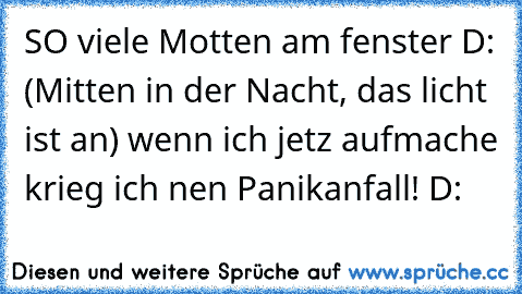 SO viele Motten am fenster D: (Mitten in der Nacht, das licht ist an) wenn ich jetz aufmache krieg ich nen Panikanfall! D: