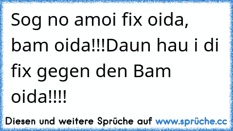 Sog no amoi fix oida, bam oida!!!Daun hau i di fix gegen den Bam oida!!!!