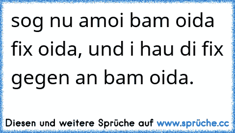 sog nu amoi bam oida fix oida, und i hau di fix gegen an bam oida.