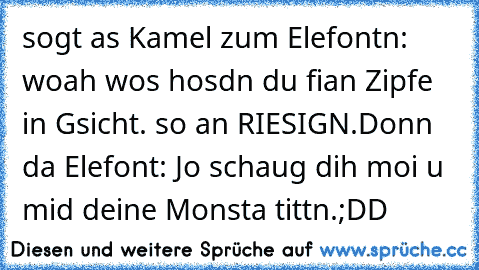 sogt as Kamel zum Elefontn: woah wos hosdn du fian Zipfe in Gsicht. so an RIESIGN.
Donn da Elefont: Jo schaug dih moi u mid deine Monsta tittn.
;DD