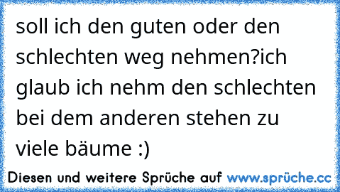 soll ich den guten oder den schlechten weg nehmen?
ich glaub ich nehm den schlechten bei dem anderen stehen zu viele bäume :)