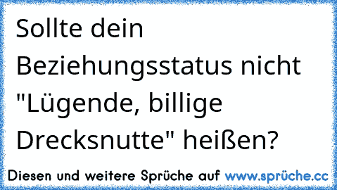 Sollte dein Beziehungsstatus nicht "Lügende, billige Drecksnutte" heißen?