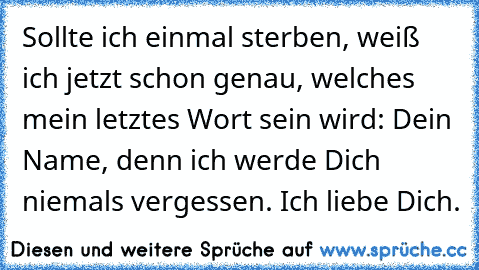 Sollte ich einmal sterben, weiß ich jetzt schon genau, welches mein letztes Wort sein wird: Dein Name, denn ich werde Dich niemals vergessen. Ich liebe Dich.