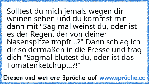 Solltest du mich jemals wegen dir weinen sehen und du kommst mir dann mit "Sag mal weinst du, oder ist es der Regen, der von deiner Nasenspitze tropft...?" Dann schlag ich dir so dermaßen in die Fresse und frag dich "Sagmal blutest du, oder ist das Tomatenketchup...?!"