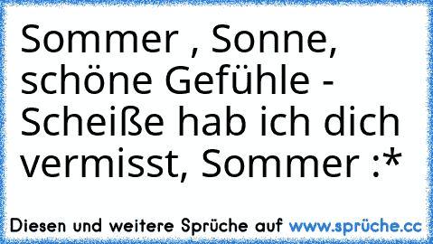 Sommer , Sonne, schöne Gefühle - Scheiße hab ich dich vermisst, Sommer :*