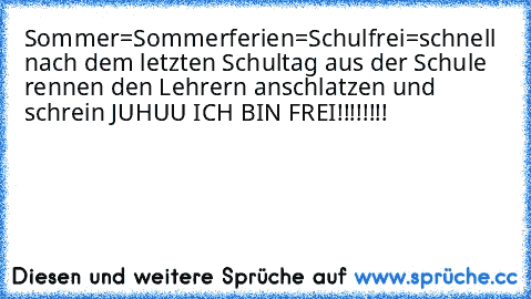 Sommer=Sommerferien=Schulfrei=schnell nach dem letzten Schultag aus der Schule rennen den Lehrern anschlatzen und schrein JUHUU ICH BIN FREI!!!!!!!!