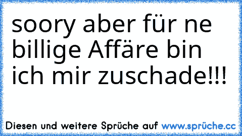 soory aber für ne billige Affäre bin ich mir zuschade!!!