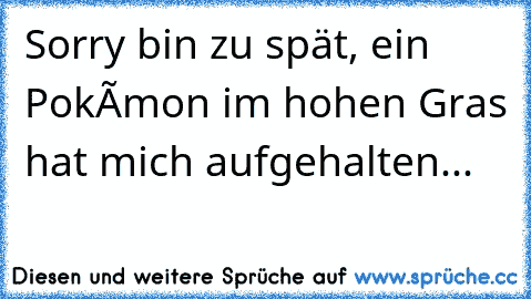 Sorry bin zu spät, ein Pokémon im hohen Gras hat mich aufgehalten...