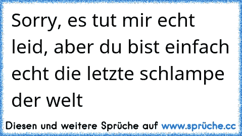 Sorry, es tut mir echt leid, aber du bist einfach echt die letzte schlampe der welt