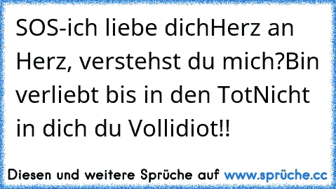 SOS-ich liebe dich
Herz an Herz, verstehst du mich?
Bin verliebt bis in den Tot
Nicht in dich du Vollidiot!!