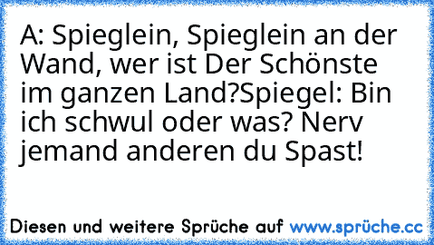 A: Spieglein, Spieglein an der Wand, wer ist Der Schönste im ganzen Land?
Spiegel: Bin ich schwul oder was? Nerv jemand anderen du Spast!