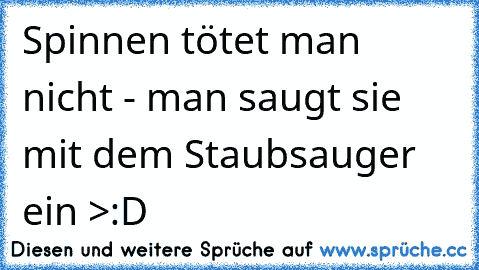 Spinnen tötet man nicht - man saugt sie mit dem Staubsauger ein >:D