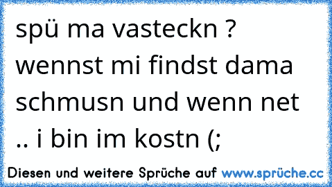 spü ma vasteckn ? wennst mi findst dama schmusn und wenn net .. i bin im kostn (;