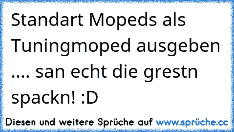 Standart Mopeds als Tuningmoped ausgeben .... san echt die grestn spackn! :D