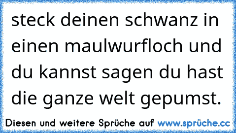 steck deinen schwanz in einen maulwurfloch und du kannst sagen du hast die ganze welt gepumst.