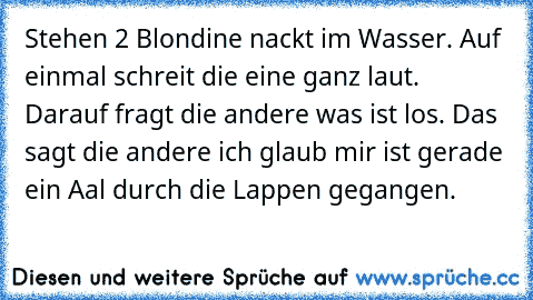 Stehen 2 Blondine nackt im Wasser. Auf einmal schreit die eine ganz laut. Darauf fragt die andere was ist los. Das sagt die andere ich glaub mir ist gerade ein Aal durch die Lappen gegangen.