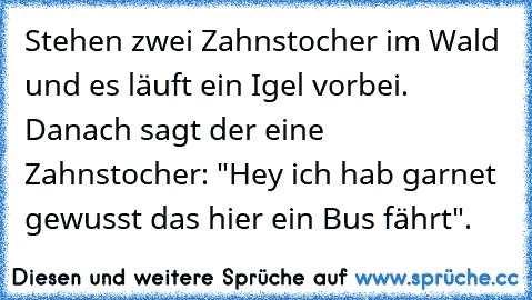 Stehen zwei Zahnstocher im Wald und es läuft ein Igel vorbei. Danach sagt der eine Zahnstocher: "Hey ich hab garnet gewusst das hier ein Bus fährt".