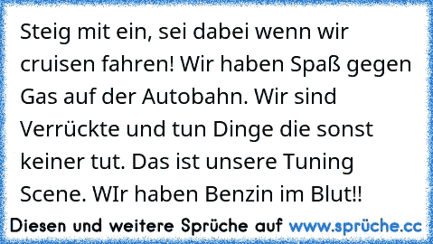 Steig mit ein, sei dabei wenn wir cruisen fahren! Wir haben Spaß gegen Gas auf der Autobahn. Wir sind Verrückte und tun Dinge die sonst keiner tut. Das ist unsere Tuning Scene. WIr haben Benzin im Blut!! ♥