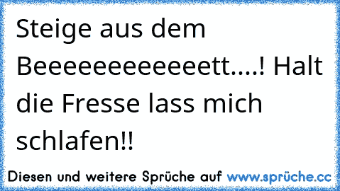 Steige aus dem Beeeeeeeeeeeett....! Halt die Fresse lass mich schlafen!!