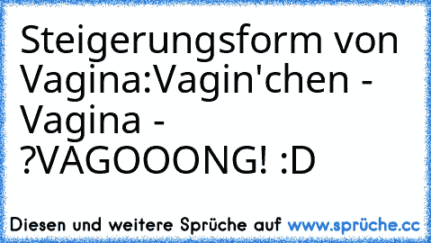 Steigerungsform von Vagina:
Vagin'chen - Vagina - ?
VAGOOONG! :D