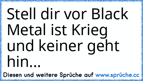 Stell dir vor Black Metal ist Krieg und keiner geht hin...