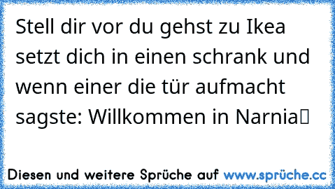 Stell dir vor du gehst zu Ikea setzt dich in einen schrank und wenn einer die tür aufmacht sagst´e: „Willkommen in Narnia“