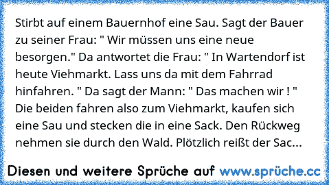 Stirbt auf einem Bauernhof eine Sau. Sagt der Bauer zu seiner Frau: " Wir müssen uns eine neue besorgen." Da antwortet die Frau: " In Wartendorf ist heute Viehmarkt. Lass uns da mit dem Fahrrad hinfahren. " Da sagt der Mann: " Das machen wir ! " Die beiden fahren also zum Viehmarkt, kaufen sich eine Sau und stecken die in eine Sack. Den Rückweg nehmen sie durch den Wald. Plötzlich reißt der Sack a...