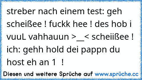 streber nach einem test: geh scheißee ! fuckk hee ! des hob i vuuL vahhauun >__< scheiißee ! ich: gehh hold dei pappn du host eh an 1  !