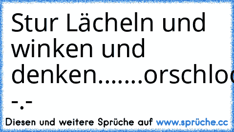 Stur Lächeln und winken und denken.......orschloch -.-