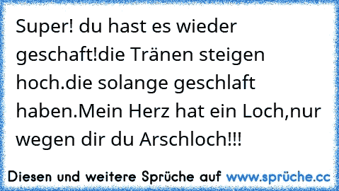 Super! du hast es wieder geschaft!
die Tränen steigen hoch.
die solange geschlaft haben.
Mein Herz hat ein Loch,
nur wegen dir du Arschloch!!!