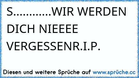 S............WIR WERDEN DICH NIEEEE VERGESSEN
R.I.P.