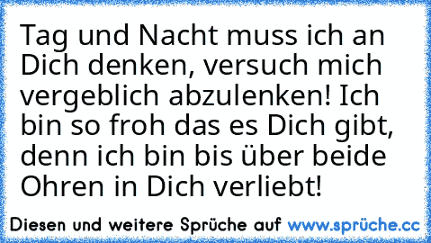 Tag und Nacht muss ich an Dich denken, versuch mich vergeblich abzulenken! Ich bin so froh das es Dich gibt, denn ich bin bis über beide Ohren in Dich verliebt!