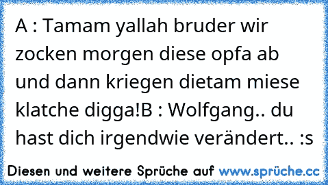 A : Tamam yallah bruder wir zocken morgen diese opfa ab und dann kriegen die
tam miese klatche digga!
B : Wolfgang.. du hast dich irgendwie verändert.. :s