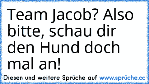 Team Jacob? Also bitte, schau dir den Hund doch mal an!