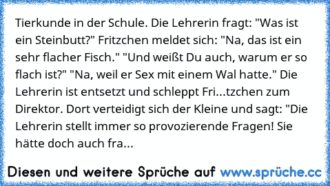 Tierkunde in der Schule. Die Lehrerin fragt: "Was ist ein Steinbutt?" Fritzchen meldet sich: "Na, das ist ein sehr flacher Fisch." "Und weißt Du auch, warum er so flach ist?" "Na, weil er Sex mit einem Wal hatte." Die Lehrerin ist entsetzt und schleppt Fri...tzchen zum Direktor. Dort verteidigt sich der Kleine und sagt: "Die Lehrerin stellt immer so provozierende Fragen! Sie hätte doch auch fra...