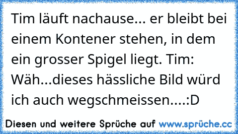 Tim läuft nachause... er bleibt bei einem Kontener stehen, in dem ein grosser Spigel liegt. Tim: Wäh...dieses hässliche Bild würd ich auch wegschmeissen....:D