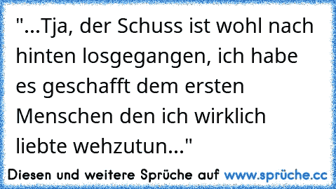 "...Tja, der Schuss ist wohl nach hinten losgegangen, ich habe es geschafft dem ersten Menschen den ich wirklich liebte wehzutun..."